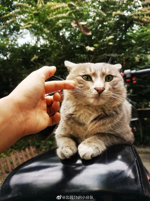 大学就开始流浪！20年五星高中生德文·阿斯克6年效力五所大学！