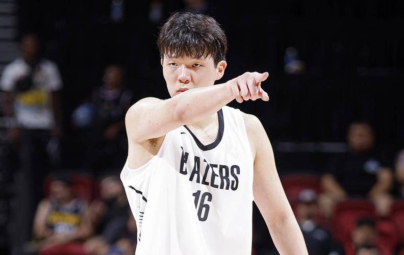 拓记：对杨瀚森来说约基奇太遥远 现在该学习的是武器和小加索尔